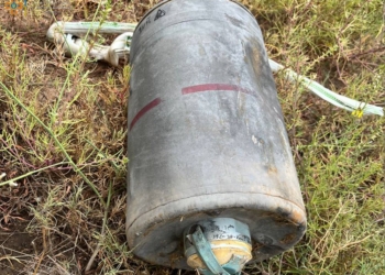 Через обстріли на Миколаївщині за добу вигоріло 20 га лісу, а через необережне поводження з вогнем – 8 га відкритих територій (ФОТО)