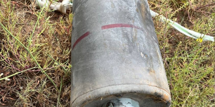 Через обстріли на Миколаївщині за добу вигоріло 20 га лісу, а через необережне поводження з вогнем – 8 га відкритих територій (ФОТО)