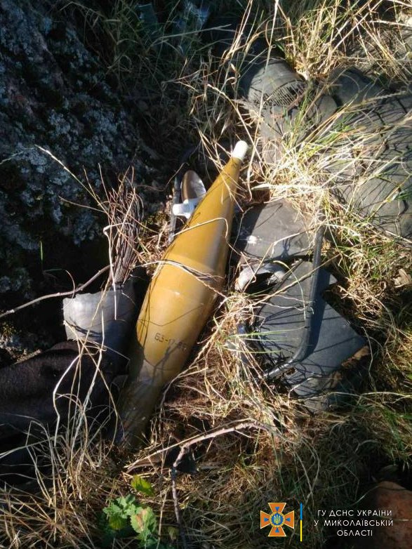 На Миколаївщині за добу вигоріло 1 га лісу і 4 га відкритих територій (ФОТО) 18