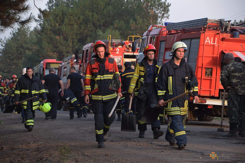 Масштабна лісова пожежа на Миколаївщині локалізована на площі 235 га (ФОТО) 17