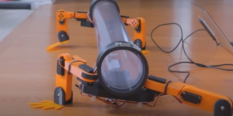 Відеоблогер поставив змію на ноги – створив для неї роботизований екзоскелет (ВІДЕО)