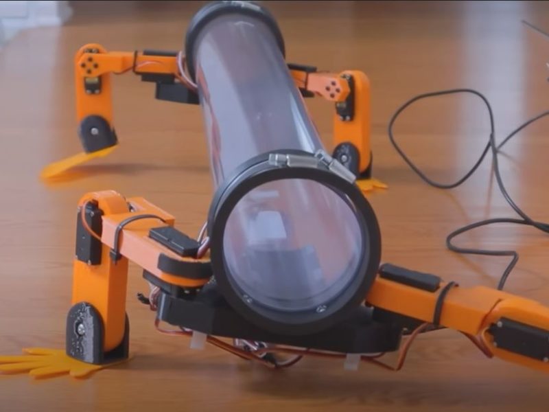 Відеоблогер поставив змію на ноги – створив для неї роботизований екзоскелет (ВІДЕО)