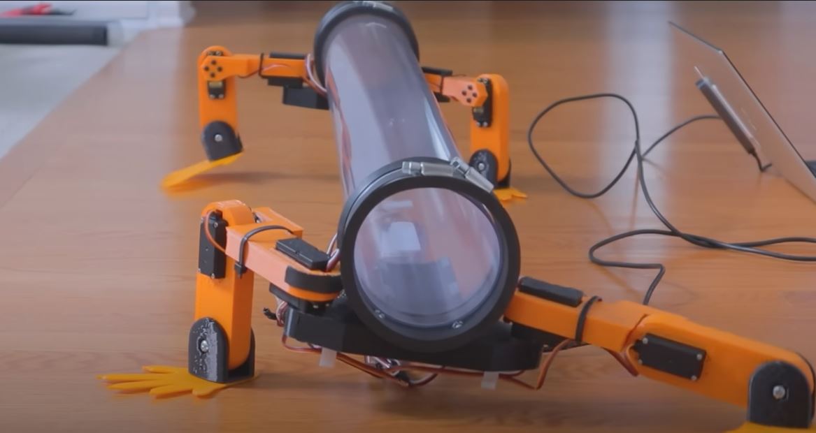 Відеоблогер поставив змію на ноги – створив для неї роботизований екзоскелет (ВІДЕО)