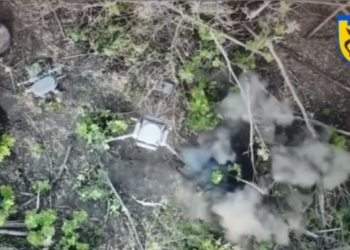 Протидронний комплекс “Силок” вивели з ладу розвідники тероборони на Харківщині (ВІДЕО)