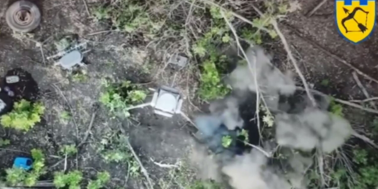 Протидронний комплекс “Силок” вивели з ладу розвідники тероборони на Харківщині (ВІДЕО)