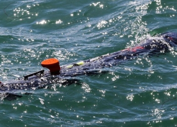 Україні передадуть 6 підводних дронів-шукачів мін (ФОТО)