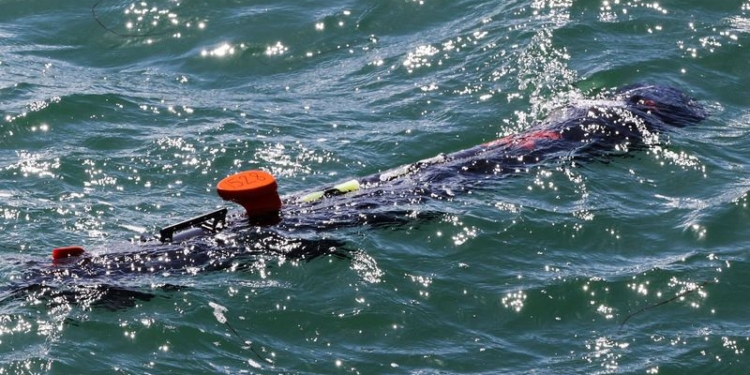 Україні передадуть 6 підводних дронів-шукачів мін (ФОТО)