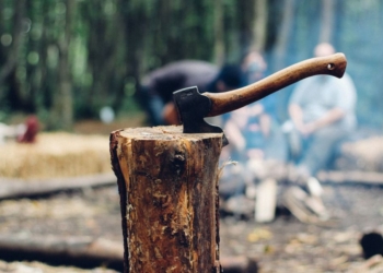 В Україні – ажіотаж на ринку дров, Держліс створює інтернет-магазин (ВІДЕО)