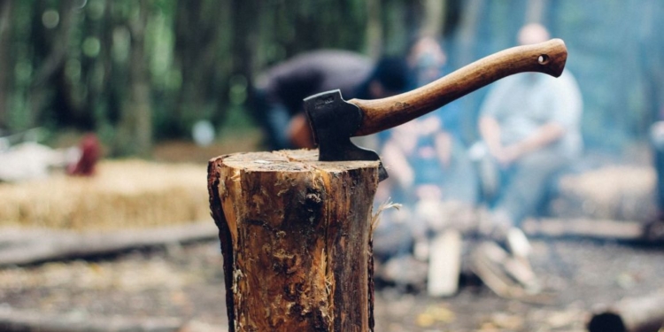 В Україні – ажіотаж на ринку дров, Держліс створює інтернет-магазин (ВІДЕО)