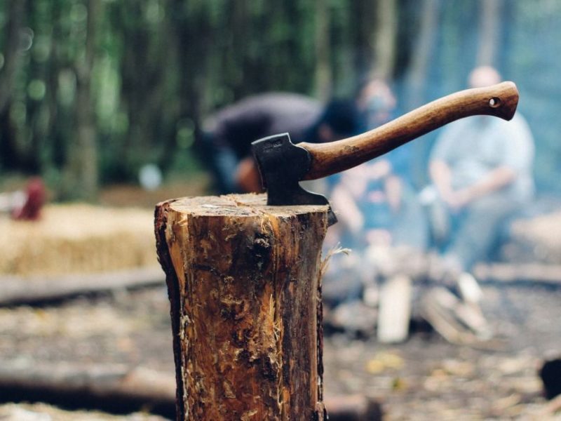 Уряд заборонив вивозити з України дрова