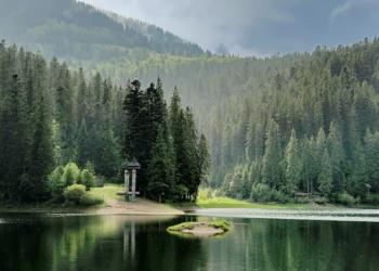 Рекорди посухи: рівень води Синевіру впав до найменшої позначки в історії спостережень