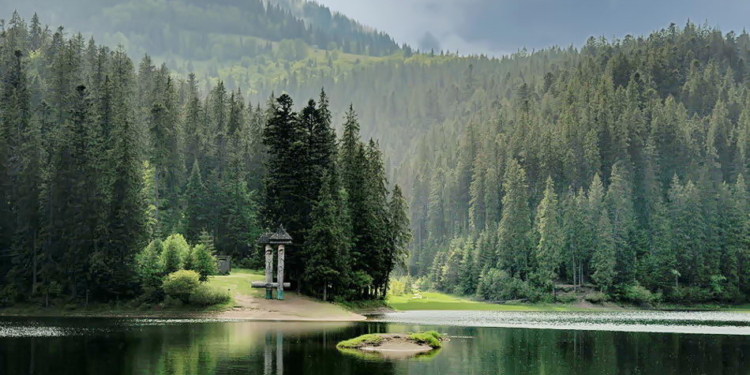 Рекорди посухи: рівень води Синевіру впав до найменшої позначки в історії спостережень