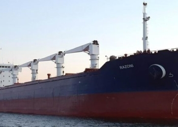 Перший балкер з українським зерном чекають в Стамбулі до опівночі