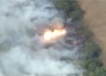 Чи випадково контрнаступ на Херсонщині розпочали саме 29 серпня? Чому це символічна дата (ВІДЕО)