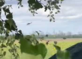 Це українське небо! Львівські десантники збили черговий російський ударний вертоліт Мі-24 (ВІДЕО)