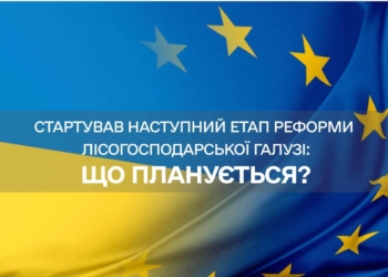 Кажуть, що на часі. В Україні розпочинається реформа державної лісогосподарської галузі