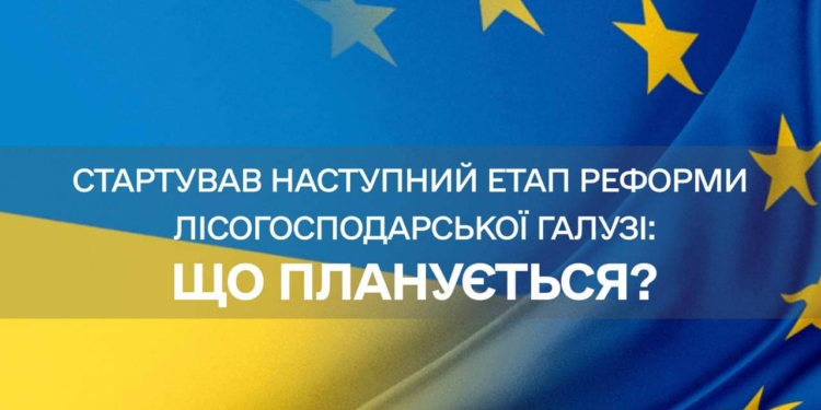 Кажуть, що на часі. В Україні розпочинається реформа державної лісогосподарської галузі