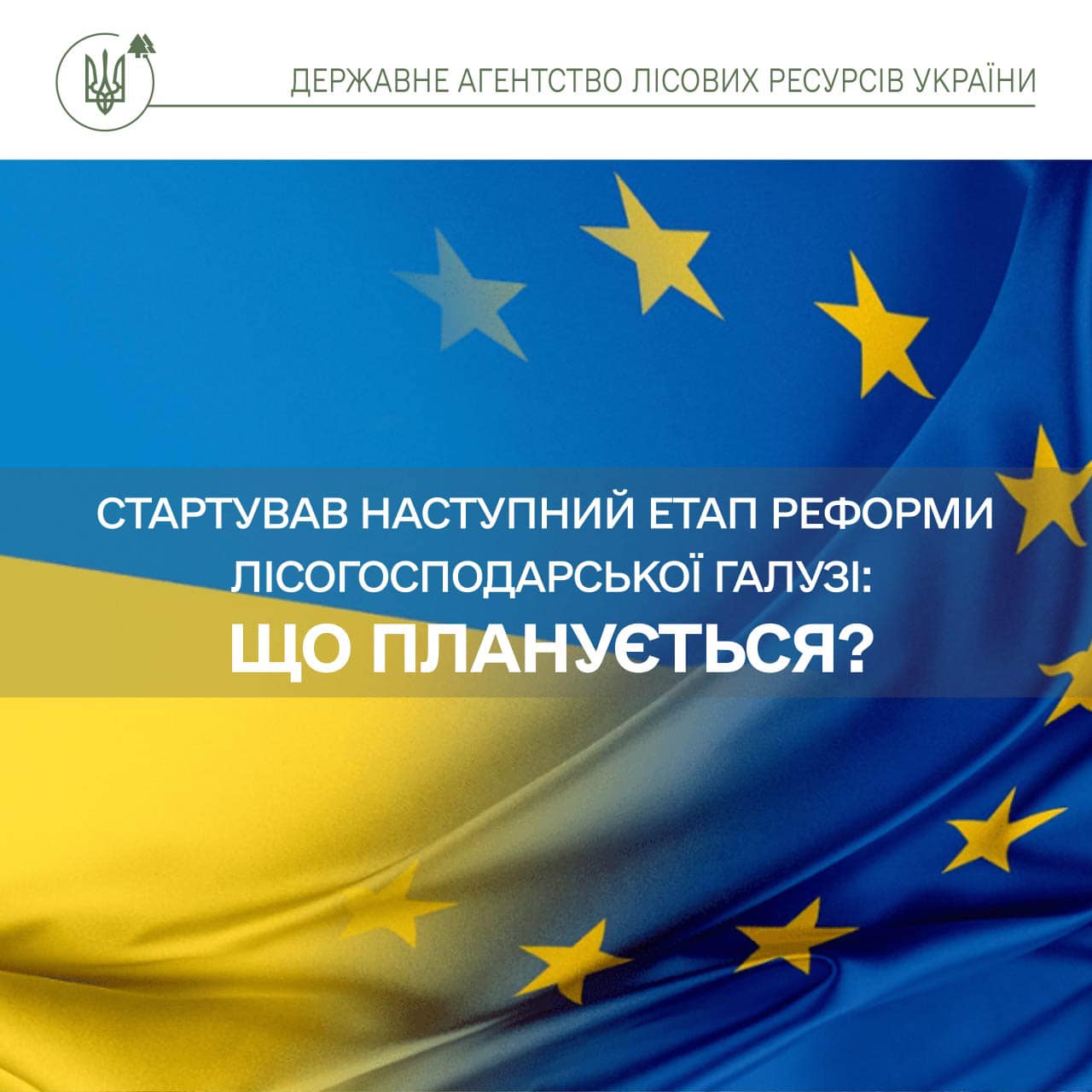 Кажуть, що на часі. В Україні розпочинається реформа державної лісогосподарської галузі