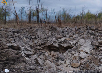 Через російські обстріли на Миколаївщині вигоріло 2,5 га лісу (ФОТО)