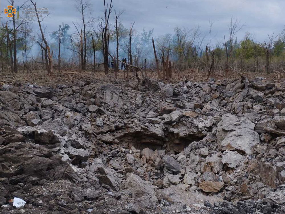 Через російські обстріли на Миколаївщині вигоріло 2,5 га лісу (ФОТО) 1