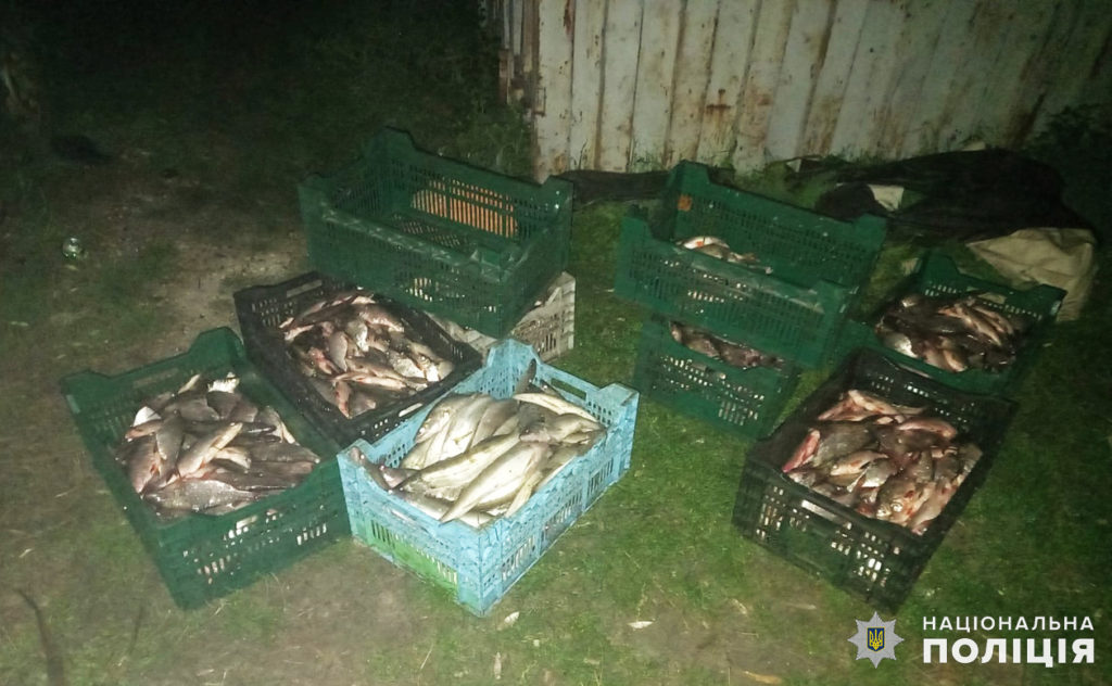На Миколаївщині поліцейські разом із тероборонівцями виявили браконьєра, який виловив більше 930 штук риби (ФОТО) 1