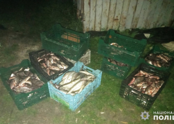 На Миколаївщині поліцейські разом із тероборонівцями виявили браконьєра, який виловив більше 930 штук риби (ФОТО)