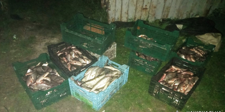 На Миколаївщині поліцейські разом із тероборонівцями виявили браконьєра, який виловив більше 930 штук риби (ФОТО)