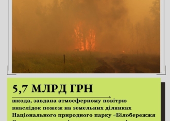 На Кінбурнській косі внаслідок дій російських окупантів вже вигоріло більше 2,1 тисячі га лісів – розмір шкоди вже перевищив 5 млрд.грн.