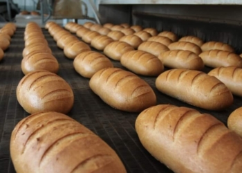 Хлібозавод в Миколаєві опинився на межі закриття? На підприємстві заявляють, що тендер по програмі ООН виграв «Київхліб»