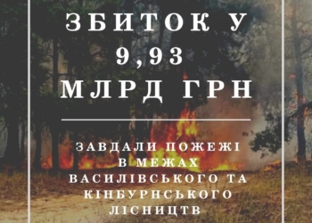 Росіяни шкодять не тільки людям, а й природі Миколаївщини: розмір шкоди від пожеж на Кінбурні вже сягнув майже 10 млрд.грн.