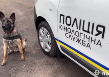 «Кінологічний спецназ»: як чотирилапі несуть службу в поліції Миколаївщини (ВІДЕО)