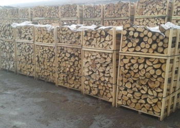 Владі Миколаївської і ще 7 областей уряд надав можливість забезпечити жителів прифронтових територій дровами за державний рахунок