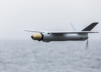 Литва передасть Україні 37 дронів-камікадзе