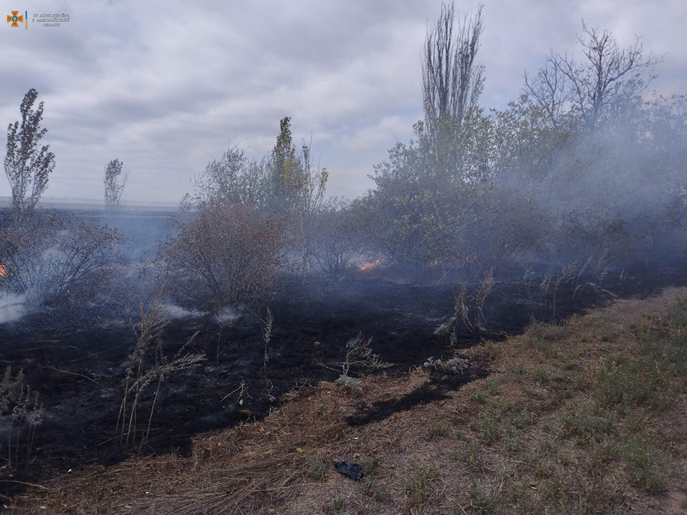 Через російські обстріли на Миколаївщині вигоріло 2,5 га лісу (ФОТО) 19