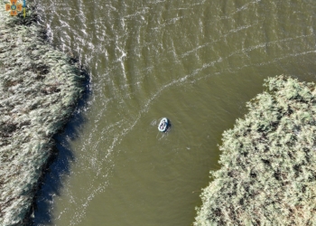 В Миколаєві потонув 67-річний рибалка (ФОТО)