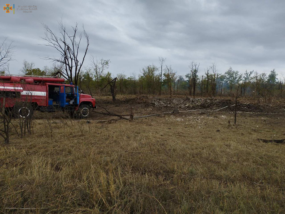 Через російські обстріли на Миколаївщині вигоріло 2,5 га лісу (ФОТО) 3