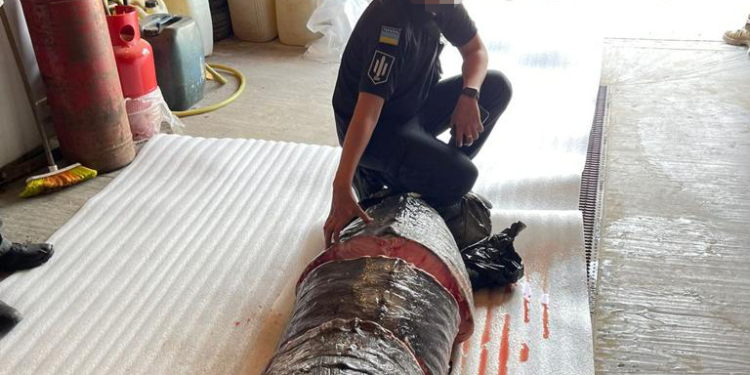 Масштабну схему незаконного вилову білуги та севрюги викрили в Одеській області (ФОТО)