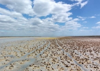 Чому в парку “Тузловські лимани” пересихають унікальні внутрішні озера, і до чого тут війна (ФОТО)