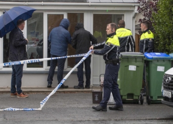 В Ірландії напали на українських біженців – у 8-річної дівчинки близько 70 поранень, її мама у важкому стані (ФОТО)