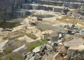 На Житомирщині арештовано активи компанії, яка підконтрольна «гауляйтеру» тимчасово окупованої Херсонщини Сальдо (ФОТО)