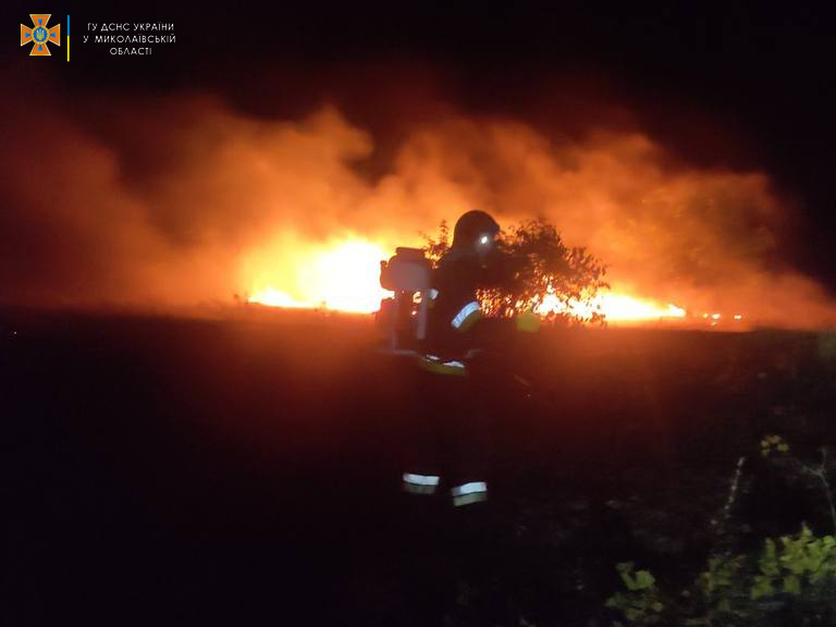 На Миколаївщині за добу було 5 «мирних» пожеж (ФОТО) 7