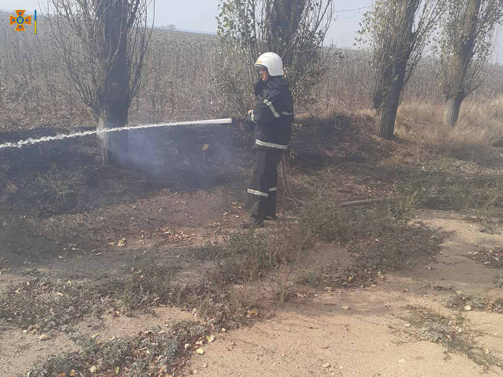 З 9 пожеж на Миколаївщині за добу одна виникла через російські обстріли (ФОТО) 9