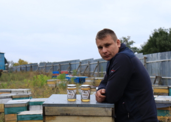 Як бджоляр з Миколаївщини популяризує медовий бізнес в Україні (ФОТО)