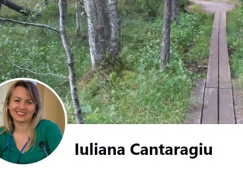 В Молдові міністр пішла у відставку через сайт про дрова