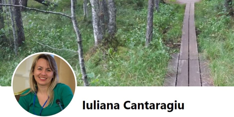 В Молдові міністр пішла у відставку через сайт про дрова