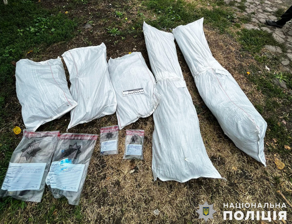 У Первомайському районі Миколаївщини поліцейські вилучили у двох чоловіків майже 200 рослин конопель та канабіс (ФОТО) 13