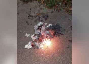 Херсонці приєднуються до флеш-мобу «Віддери рашизм» – збирають агітпродукцію рашистів (ФОТО, ВІДЕО)