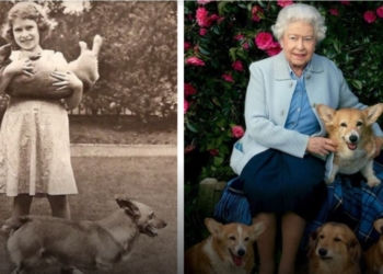 Єлизавета ІІ завжди любила собак. Що тепер буде з її улюбленцями? (ФОТО)