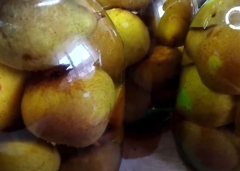 Беріть і готуйте, поки сезон. Консервуємо груші на зиму