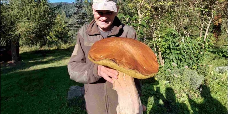 В Карпатах знайшли гриб вагою 3 кг (ФОТО)